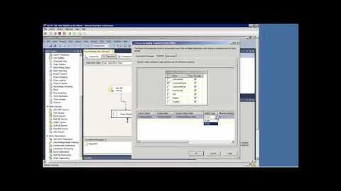 MSSQL Data Warehouse   Data Flow Transform Data 82