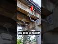 El dispositivo que salva puentes durante sismos #puentes #terremotos #construcción