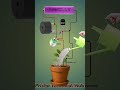 Smart Soil Moisture Alarm circuit | Auto Water Reminder #shorts #circuit #diy #scienceproject