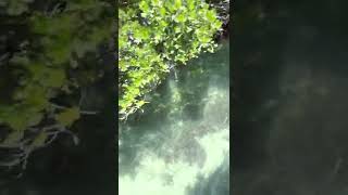 Mud Keys playing in the backcountry!