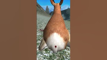 The PERFECT shot 🍑🔫 | HUNTING UNLIMITED 2009 #shorts