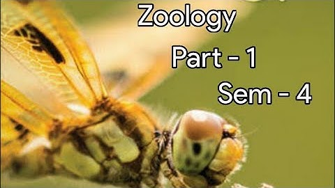 Kerala university BSc Botany previous questions - ZOOLOGY  -  ( sem - 4 ) Part - 1