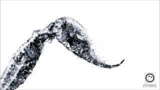 Vince & Steven Lorenz - Toxin [Original Mix]