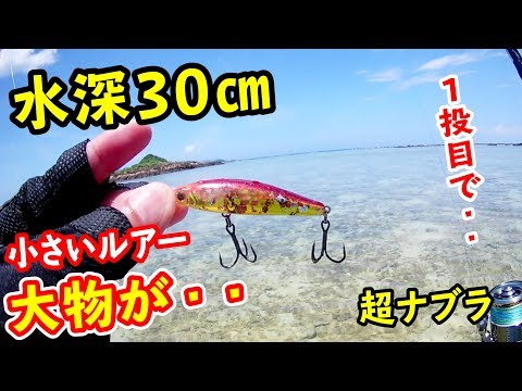 ウェーディングで小物狙いだったのにまさかの・・