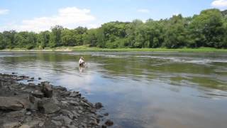 Kankakee River Fishing