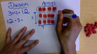 division using arrays