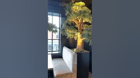 Artificial Bonsai Tree Installation