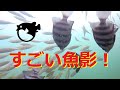 大阪 忠岡高場の凄い魚影の謎に迫る!海釣り水中動画