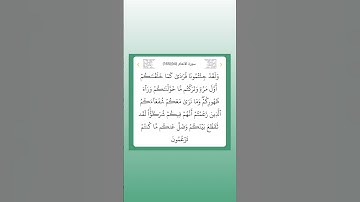 سورة الأنعام ٩٤