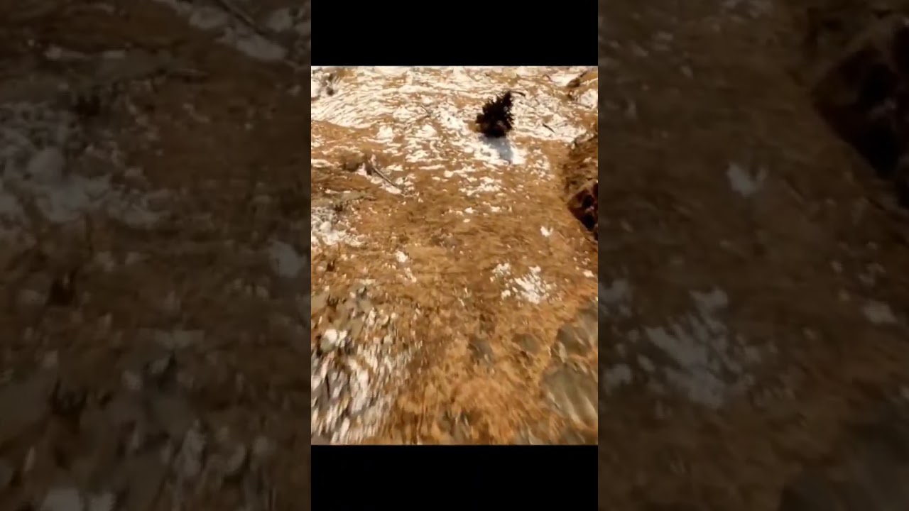 The indescribable feeling of being able to fly 