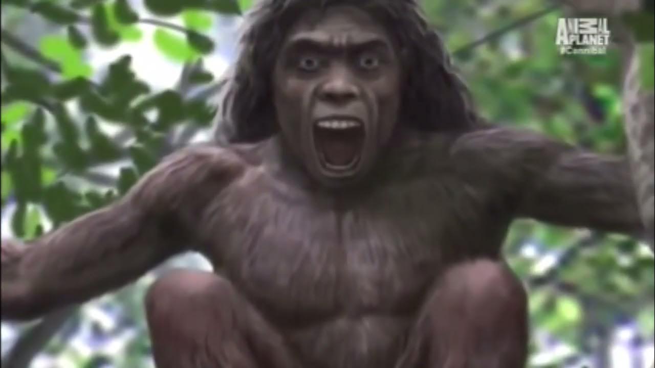 The Cannibal In The Jungle Full Documentary 2015 Free The Cannibal In The Jungle Full English Documentary 2016 - YouTube