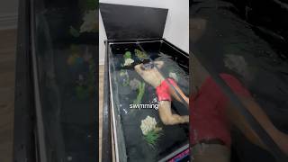 You Wont Believe This Bed