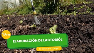 Elaboración de Lactobiól - TvAgro por Juan Gonzalo Angel Restrepo