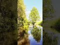 DJI Avata 2