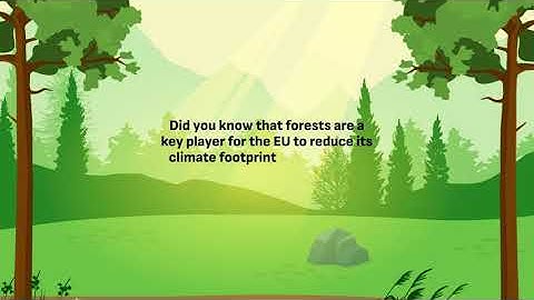 What is the PathFinder project?