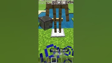 Minecraft 1.17 hacks that no one knows #1