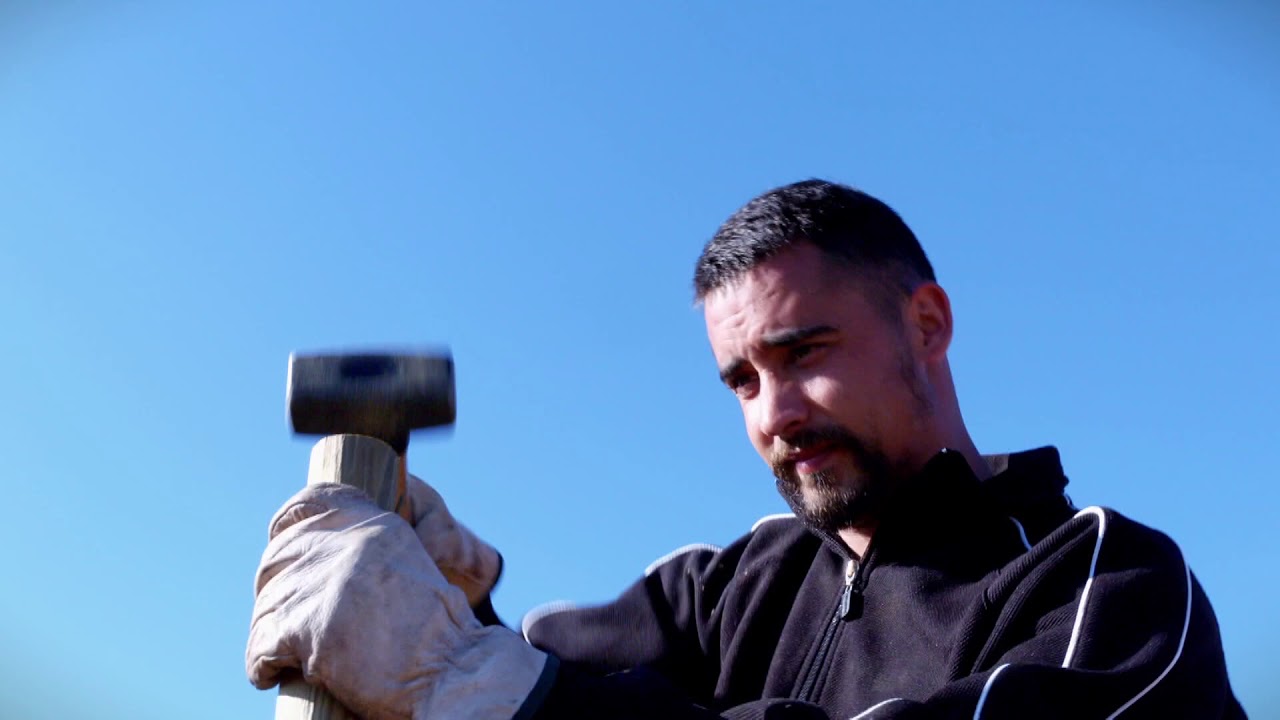 Buenas prácticas del castaño