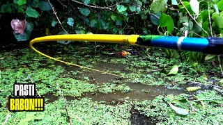 EXTREME POSITIVE!!! Anglers are speechless after finding a spot of fish under hibiscus wood. The ...