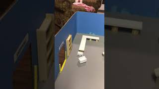 LSCM 4000 Capstone: Warehouse video presentation