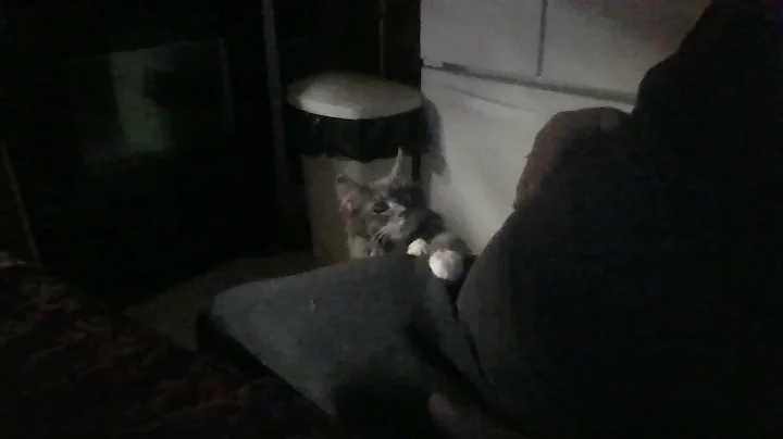 its cats time
