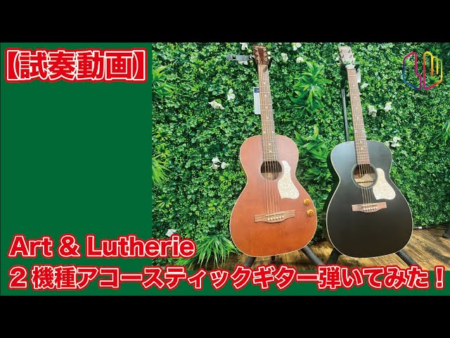 Art＆Lutherie アコースティックギター　楽器　機材　趣味 アコースティックギター】「Made in Canada」のアコギ