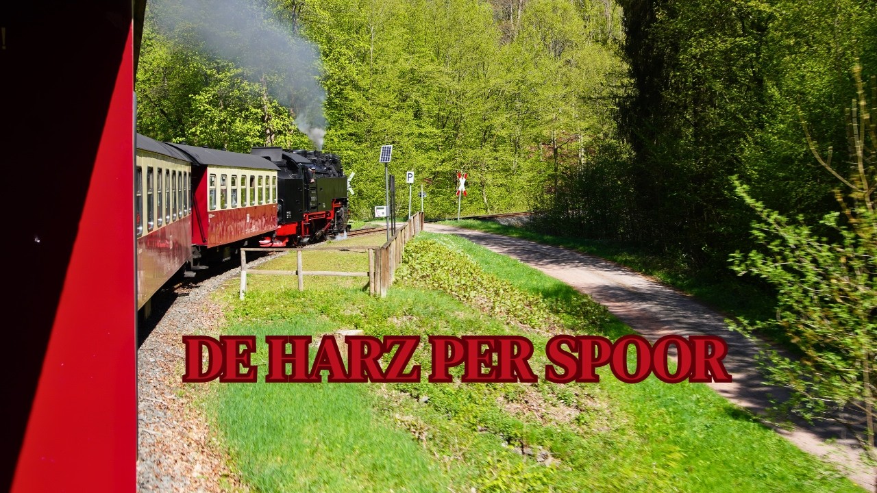 Met stoom door de Harz | Reis met de HSB