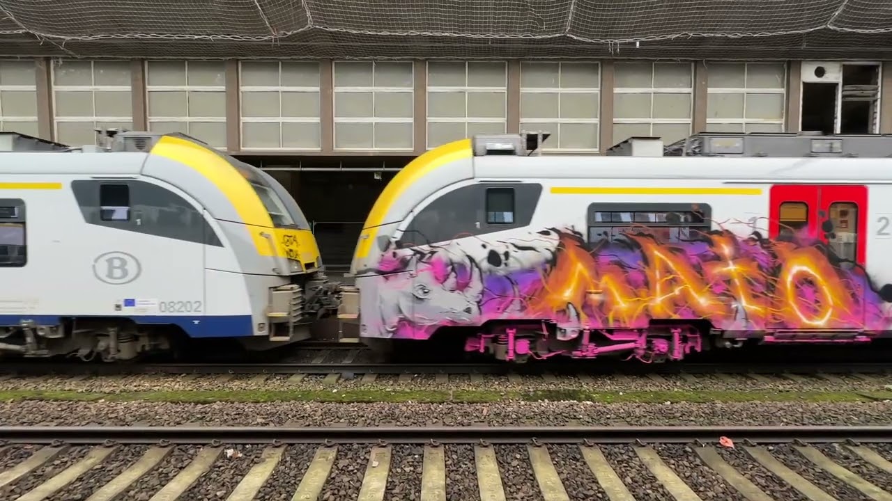 Painted trains 02.02.2026 BXL Midi