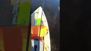 Gator Charges Paddleboard #gator #alligator #everglades #florida #gatorade #southflorida