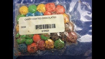 FIRST LEGO League Into Orbit | Food in Space