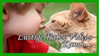 Katzen Übersetzer - Lustige Katze Videos Kanal screenshot 1