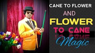 Cane to Flower and Flower to Cane Magic | by Dr.Gugampoo, Kuwait.