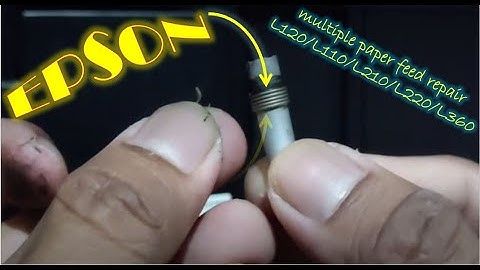 Epson multiple paper feed repair L120/L110/L210/L220/L360