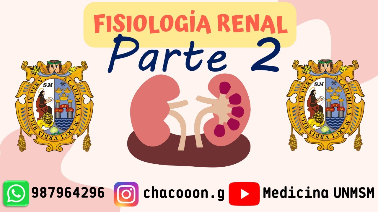 FISIOLOGÍA RENAL - UNMSM (2/3)