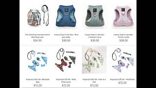 Designer Dog Harness and Leash, bloomingtailsdogboutique com