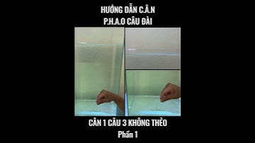 Hướng Dẫn Cân 1 Câu 3 không thẻo P1 #shorts