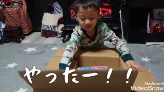 アニア ドラえもん のび太の新恐竜が届いたよ