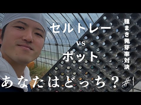 74 セルトレーvsポット発芽率対決 2025.4.26