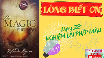 Phép màu của Lòng biết ơn trong cuộc sống│Ngày 28│The Magic Phép Màu