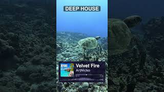 ArtNicko - Velvet Fire | Deep House Summer | Relaxing Ocean Sunset Music