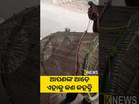 ଆପଣଙ୍କ ଆଡ଼େ ଏହାକୁ କଣ କହନ୍ତି #knewsodisha