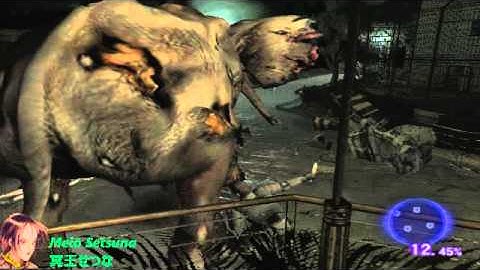 Meiō Setsuna - Biohazard Outbreak File # 2 Online (obsrv.org) - Round#340: WT - VH - 360p test