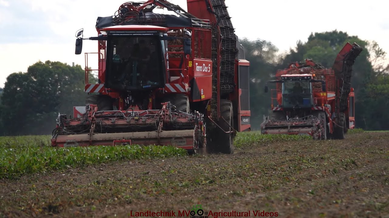 Holmer - Fendt / Zuckerrübenernte - Sugar Beet Harvest  tws