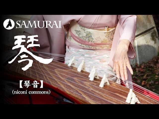 音色琴音