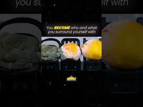 You become who you surround yourself with