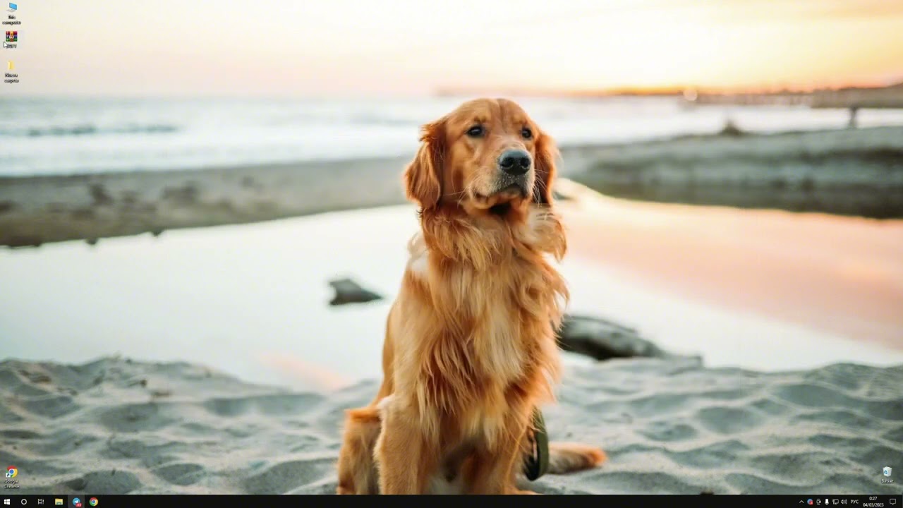 Black squad aimbot || Free download 2022 || September update + tutorial.