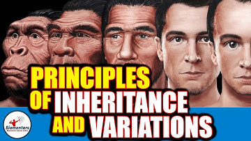 Principles Of Inheritance & Variations l Lecture 3 l Biology l NEET