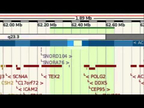 Video: BAsE-Seq: Een Methode Voor Het Verkrijgen Van Lange Virale Haplotypes Uit Korte Sequenties