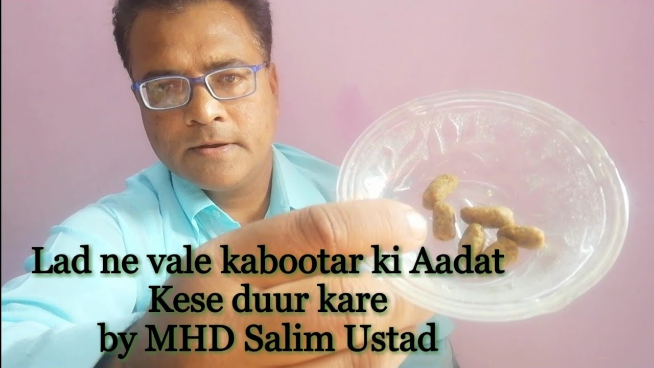Lad ne vale kabootar ki Aadat kese duur kare by MHD Salim Ustad
