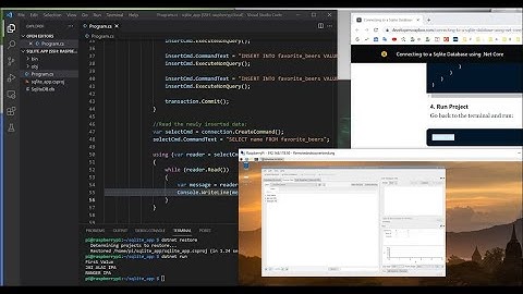 Run a Database on Raspberry Pi in 10 Minutes with .Net, Sqlite, VSCode Entity Framework
