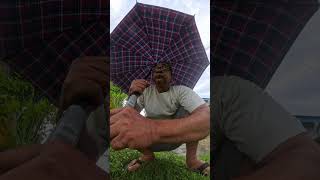 Peaceful Rain & Distant Thunder: Mood Reset